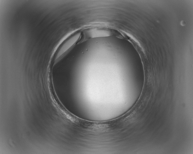 X0000082981325200702152347