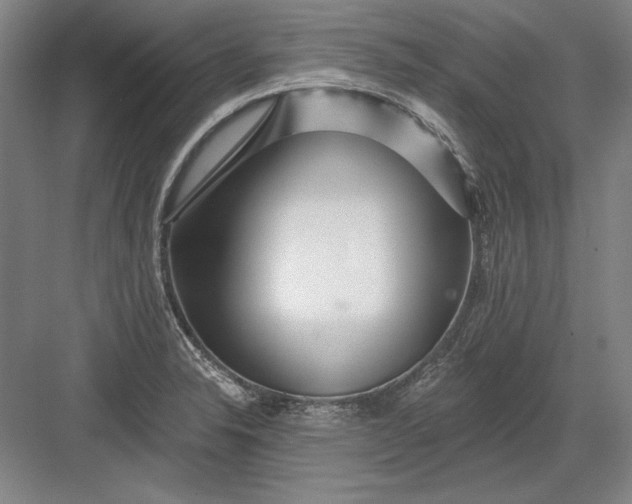 X0000082981326200702152347