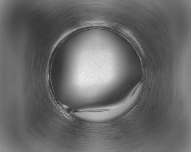 X0000082981328200702152347