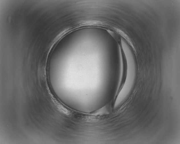 X0000082981330200702152347