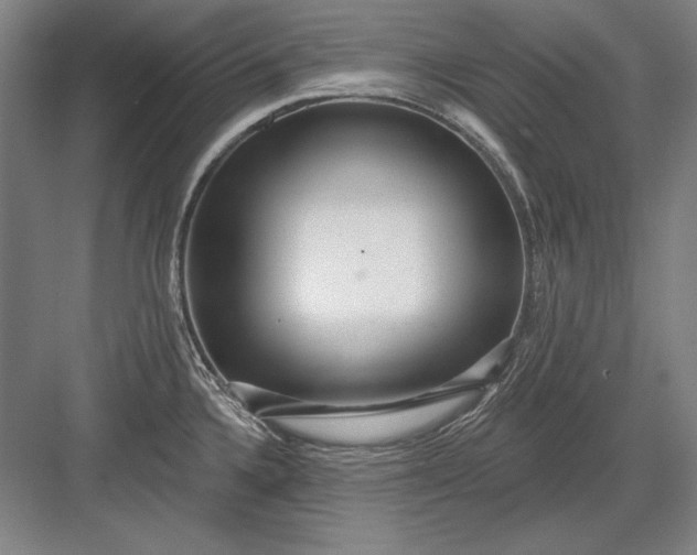 X0000082981336200702152348
