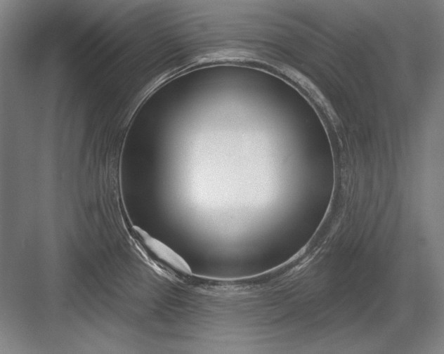 X0000082981337200702152348