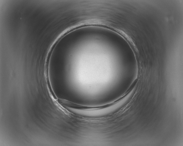X0000082981342200702152348