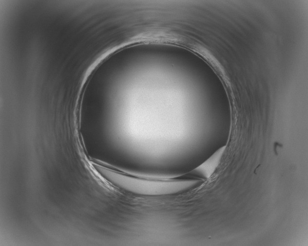 X0000082981344200702152348