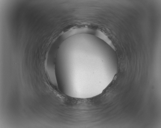 X0000082981345200702152347