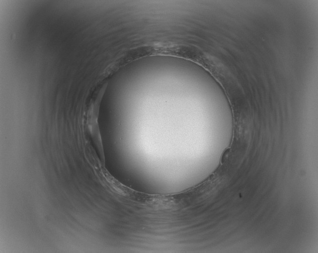X0000082981346200702152347