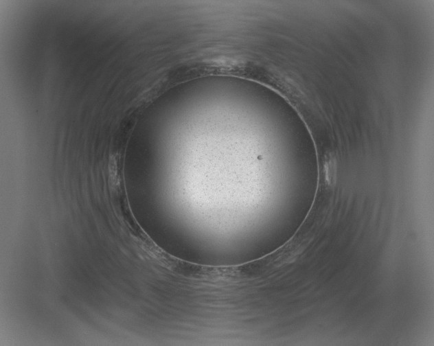 X0000082981347200702152347