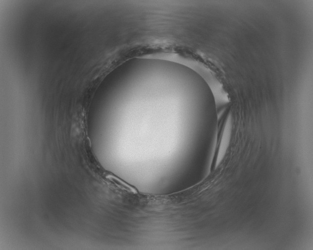 X0000082981349200702152347