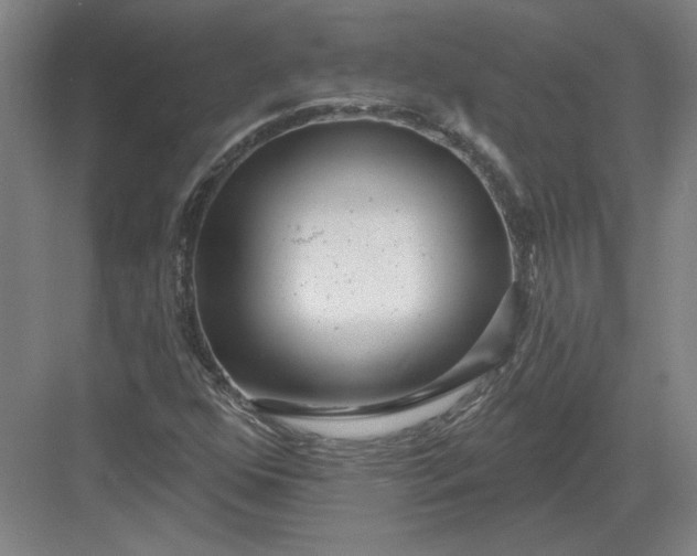 X0000082981352200702152347