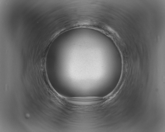 X0000082981353200702152347