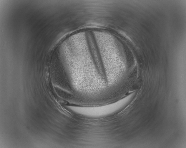 X0000082981355200702152347