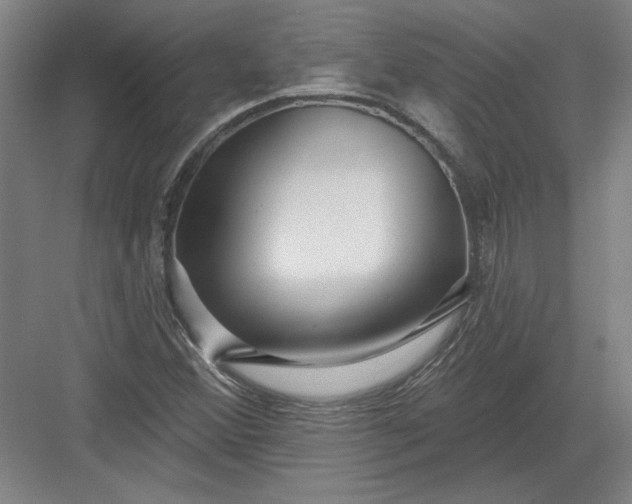X0000082981356200702152347