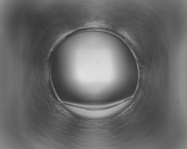 X0000082981358200702152347