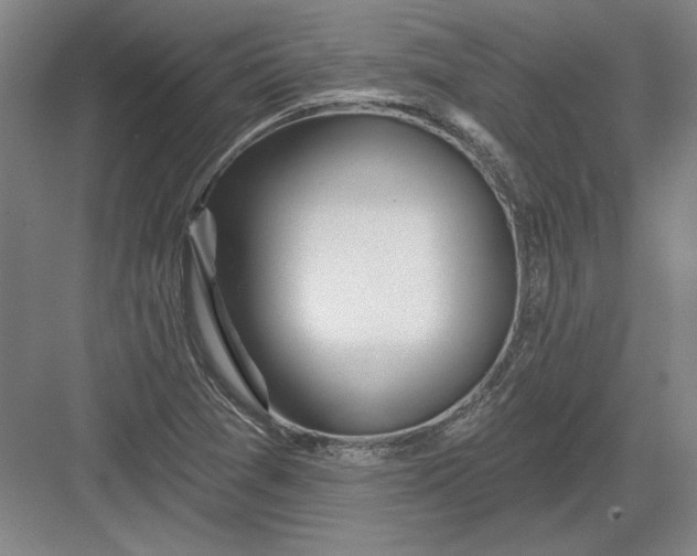 X0000082981361200702152347