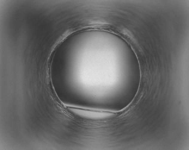 X0000082981362200702152347