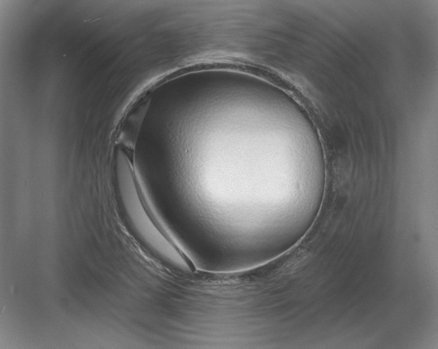 X0000082981363200702152347