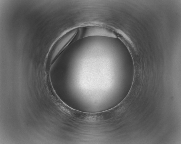 X0000082981364200702152347