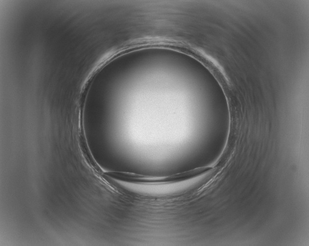 X0000082981365200702152346