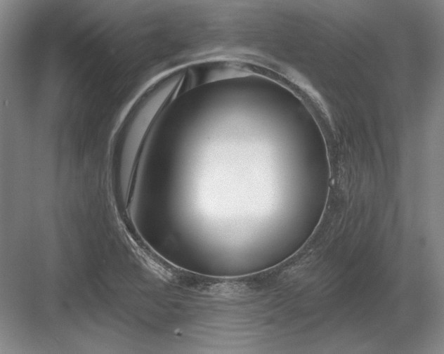 X0000082981368200702152346