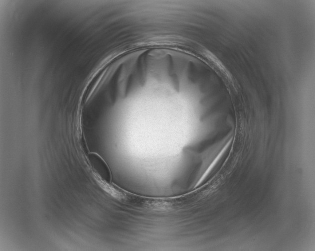 X0000082981370200702152346