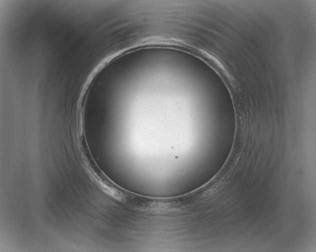 X0000082981371200702152346