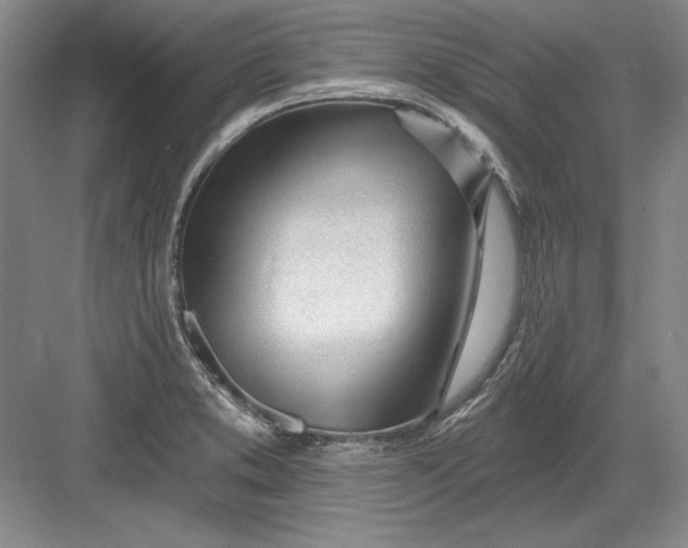 X0000082981373200702152346