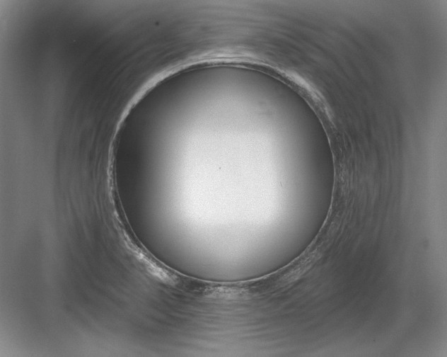 X0000082981374200702152346