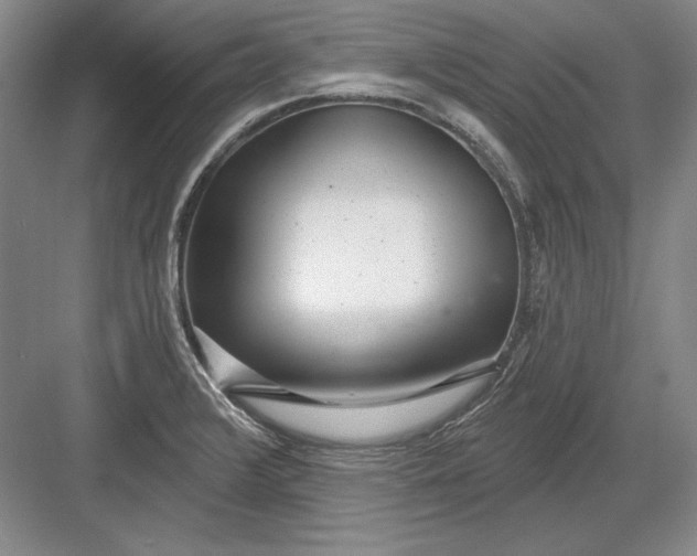 X0000082981376200702152346