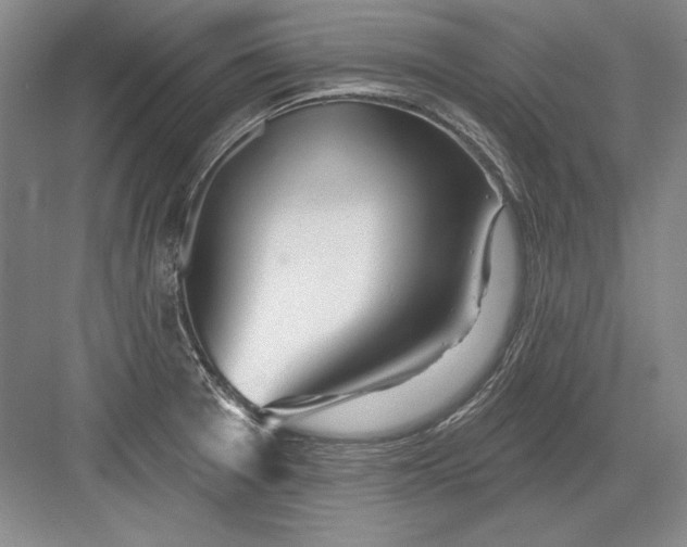 X0000082981377200702152346
