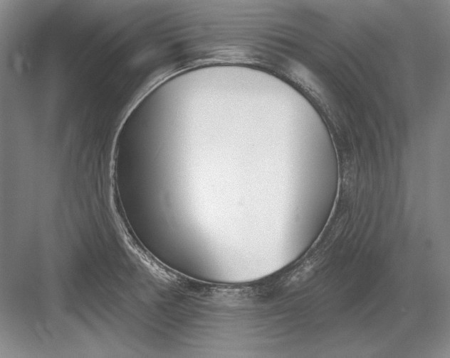 X0000082981378200702152346