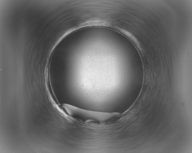 X0000082981383200702152346