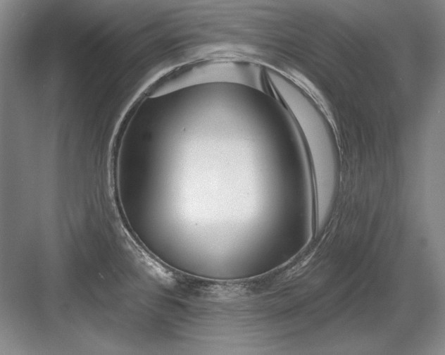 X0000082981384200702152346