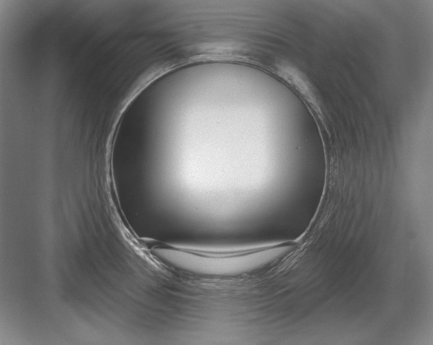X0000082981386200702152346