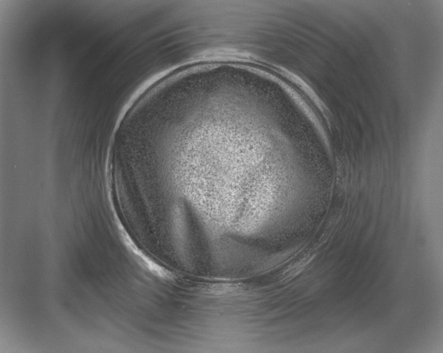 X0000082981387200702152346