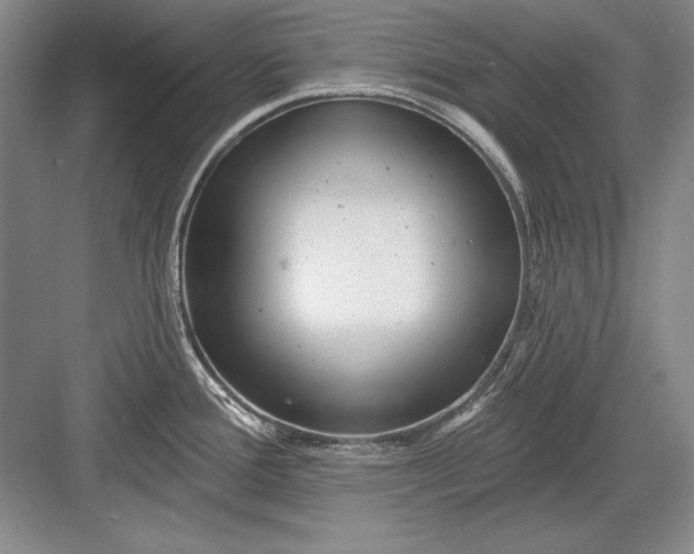 X0000082981388200702152346