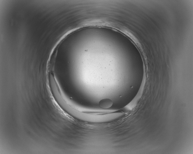 X0000082981392200702152346