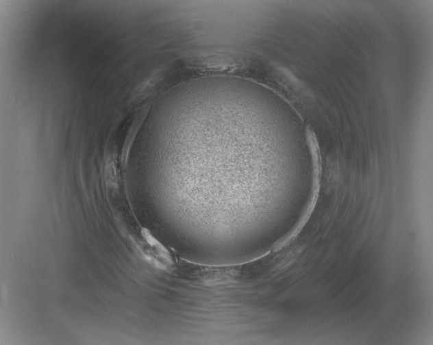 X0000082981394200702152345