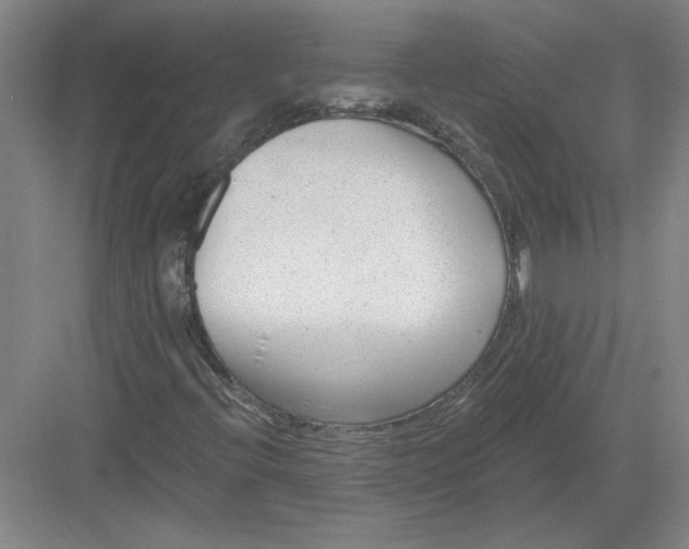 X0000082981396200702152345
