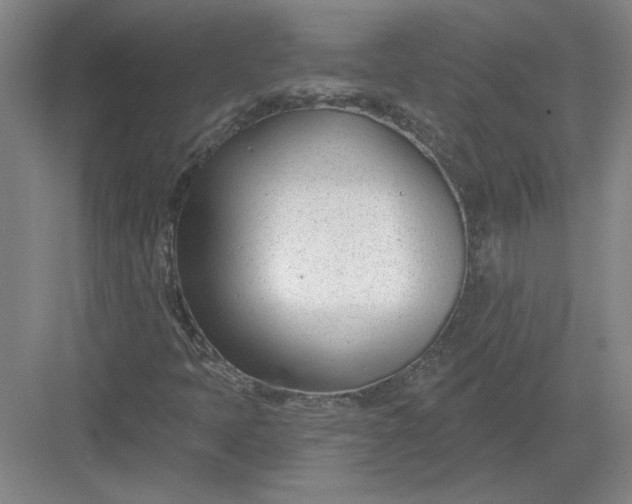 X0000082981397200702152345