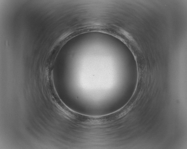 X0000082981402200702152345