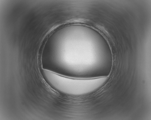 X0000082981404200702152345