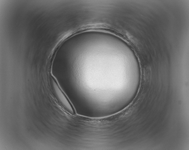 X0000082981405200702152345