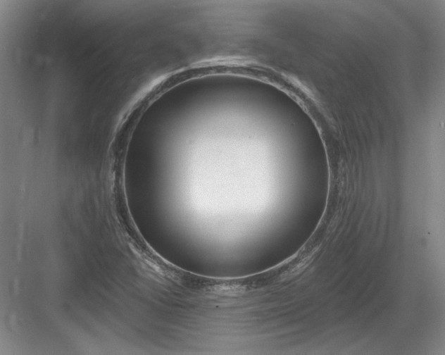 X0000082981406200702152345