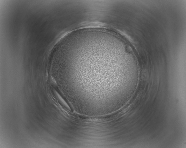 X0000082981407200702152345