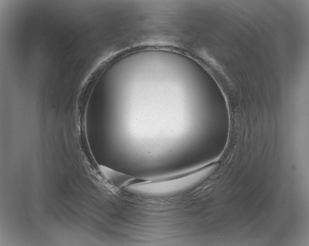 X0000082981408200702152345