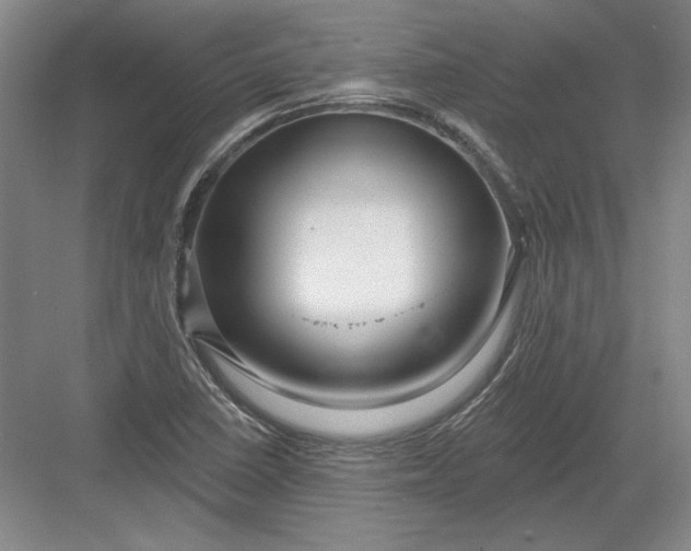 X0000082981410200702152346