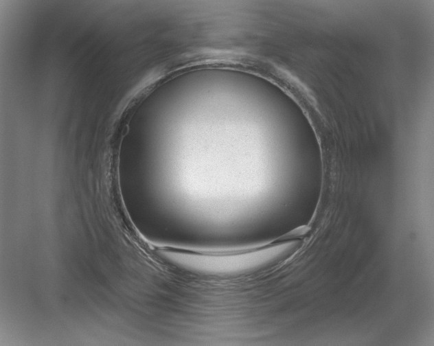 X0000082981411200702152346
