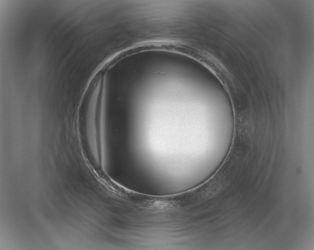 X0000082981412200702152346