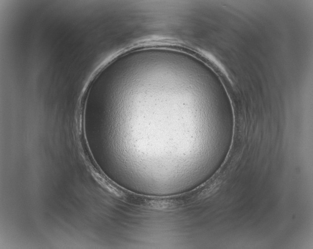 X0000082981413200702152346