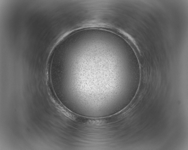 X0000082981415200702152346